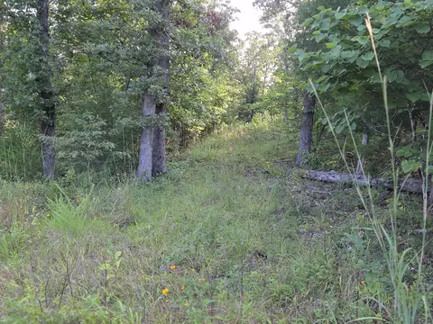 000 Sandy Rd, Edwards, MO 65326 photo 30