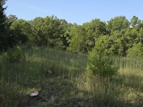 000 Sandy Rd, Edwards, MO 65326 photo 8
