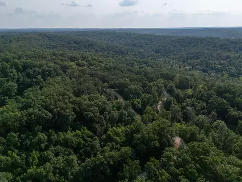 000 Sandy Rd, Edwards, MO 65326 photo 18