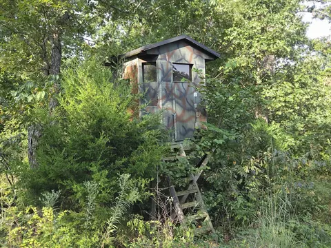000 Sandy Rd, Edwards, MO 65326 photo 31