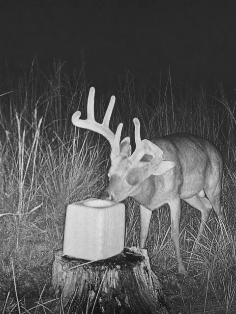 000 Sandy Rd, Edwards, MO 65326 photo 21
