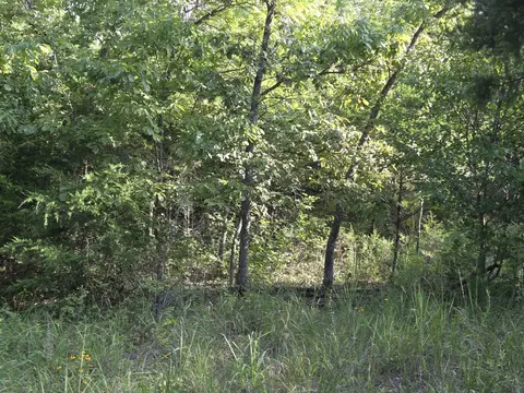 000 Sandy Rd, Edwards, MO 65326 photo 9
