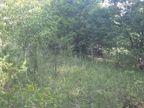 000 Sandy Rd, Edwards, MO 65326 photo 7