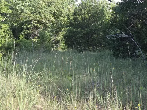 000 Sandy Rd, Edwards, MO 65326 photo 5