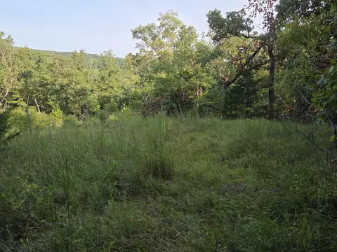 000 Sandy Rd, Edwards, MO 65326 photo 27