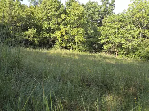000 Sandy Rd, Edwards, MO 65326 photo 29