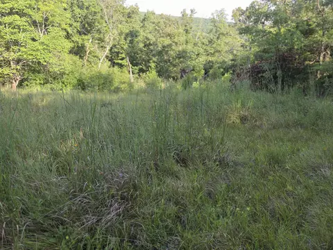000 Sandy Rd, Edwards, MO 65326 photo 28