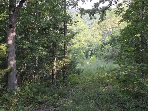 000 Sandy Rd, Edwards, MO 65326 photo 11
