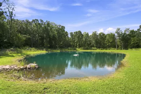 Other - 1295 Spring Vly, Marshfield, MO 65706 photo 5 of 6