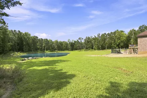 Exterior - 1295 Spring Vly, Marshfield, MO 65706 photo 7 of 7