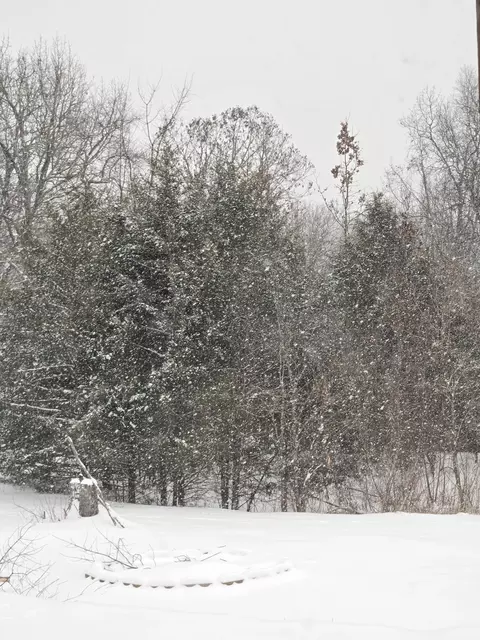 Other - 53 Veazey Dr, Brixey, MO 65618 photo 9 of 14