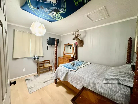 Bedroom - 4 Cedar St, Greenfield, MO 65661 photo 5 of 7