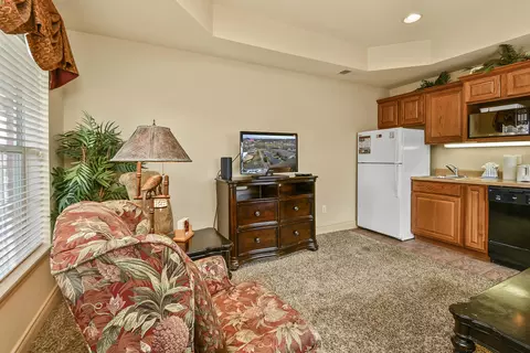 Other - 201 Golfview Dr #1-14, Branson, MO 65616 photo 3 of 4