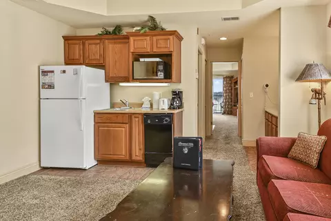 Other - 201 Golfview Dr #1-14, Branson, MO 65616 photo 2 of 4