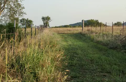 000 Quiet Acres Rd, Lampe, MO 65681 photo 44