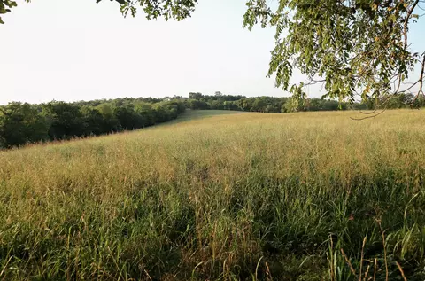000 Quiet Acres Rd, Lampe, MO 65681 photo 49