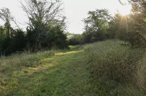 000 Quiet Acres Rd, Lampe, MO 65681 photo 34