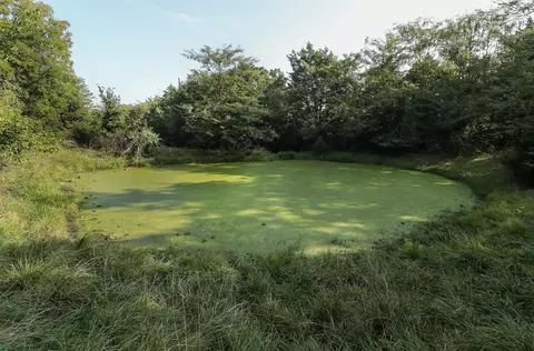 000 Quiet Acres Rd, Lampe, MO 65681 photo 22
