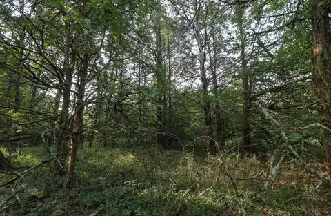 000 Quiet Acres Rd, Lampe, MO 65681 photo 32