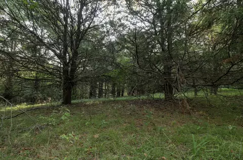 000 Quiet Acres Rd, Lampe, MO 65681 photo 25