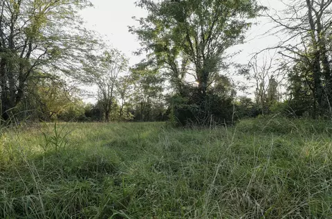 000 Quiet Acres Rd, Lampe, MO 65681 photo 33