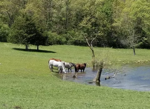 Other - 1299 Missouri 181, Cabool, MO 65689 photo 2 of 17