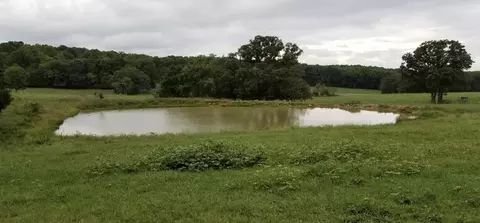 View/Area - 1299 Missouri 181, Cabool, MO 65689 photo 4 of 4