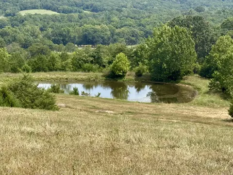 000 Hwy M Tract C-1, Cabool, MO 65689 photo 4