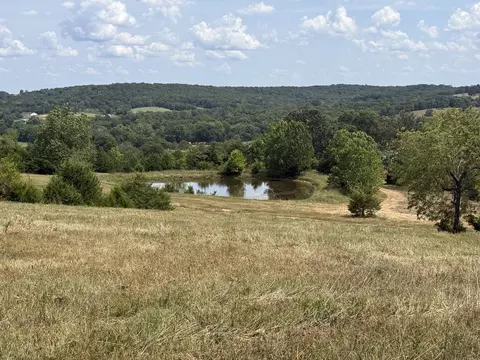 000 Hwy M Tract C-1, Cabool, MO 65689 photo 3