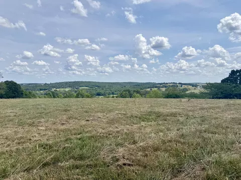 000 Hwy M Tract C-1, Cabool, MO 65689 photo 6