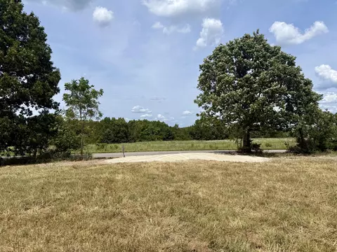 000 Hwy M Tract C-1, Cabool, MO 65689 photo 7