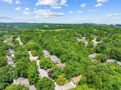 View/Area - 261 Country Bluff Dr, Branson, MO 65616 photo 5 of 12