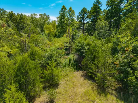 lot1 Malberg Rd, Cabool, MO 65689 photo 20
