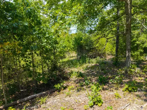 Exterior - lot S 12 Malberg Rd, Cabool, MO 65689 photo 4 of 4
