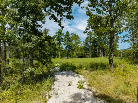 lot3 4 Malberg Rd, Cabool, MO 65689 photo 21