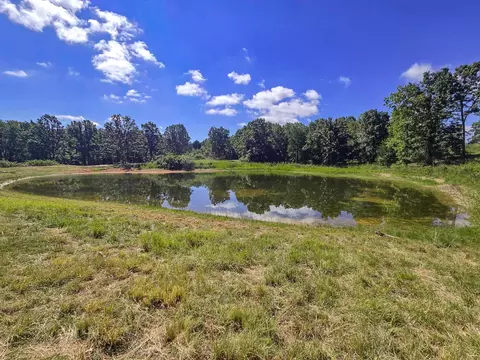 000 Highway 181, Cabool, MO 65689 photo 10