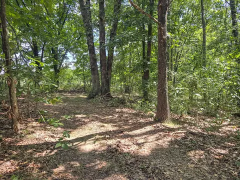 000 Highway 181, Cabool, MO 65689 photo 11