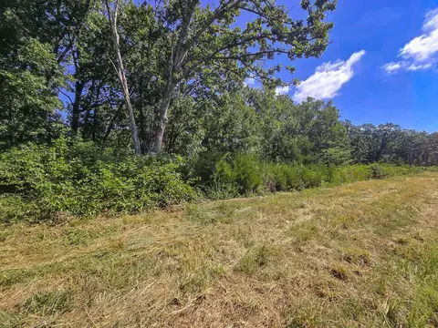 000 Highway 181, Cabool, MO 65689 photo 12