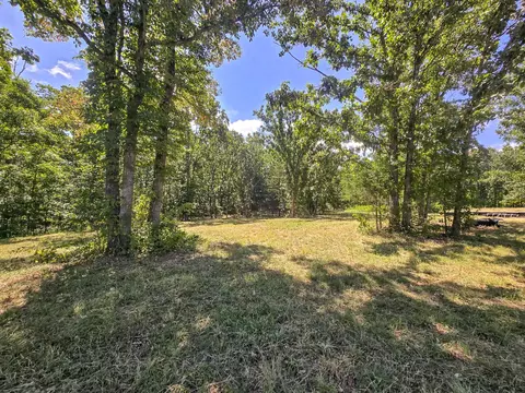000 Highway 181, Cabool, MO 65689 photo 4