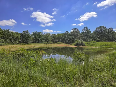 000 Highway 181, Cabool, MO 65689 photo 9