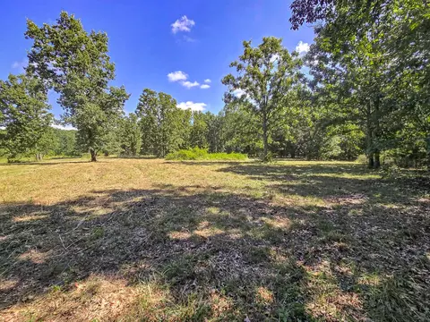 000 Highway 181, Cabool, MO 65689 photo 2