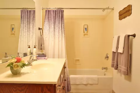 Bath - 3741 N Oak Point Ave, Springfield, MO 65803 photo 7 of 7
