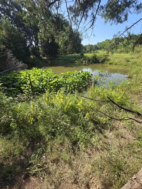 View/Area - 15142 Oconnor Crossing Blvd, Birch Tree, MO 65438 photo 1 of 1
