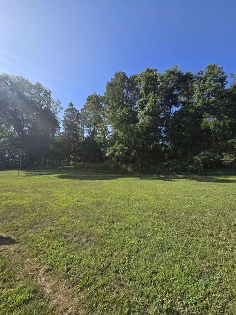 Exterior - 15142 Oconnor Crossing Blvd, Birch Tree, MO 65438 photo 4 of 20