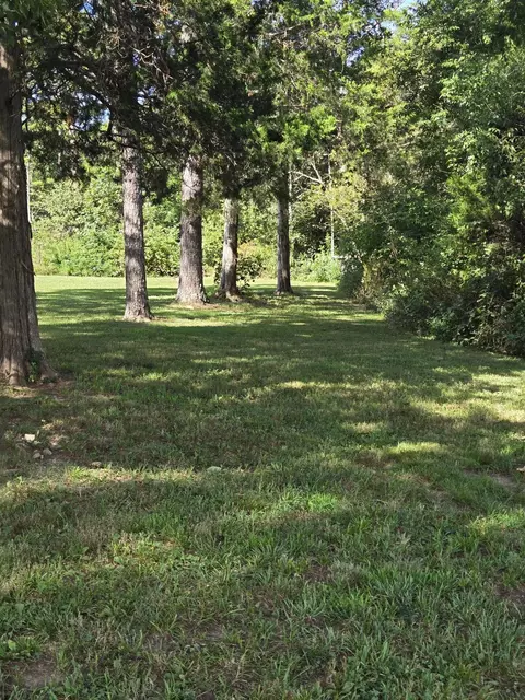 Other - 15142 Oconnor Crossing Blvd, Birch Tree, MO 65438 photo 13 of 16