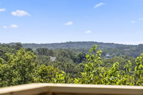 Other - 173 Thunder Ridge Estates Dr, Branson, MO 65616 photo 5 of 12