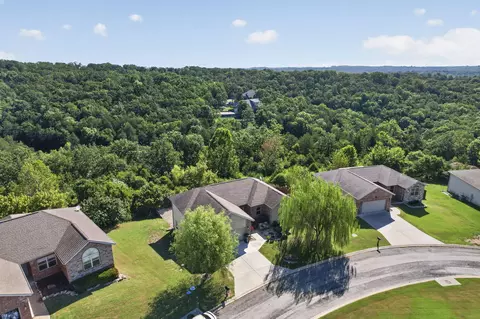 View/Area - 173 Thunder Ridge Estates Dr, Branson, MO 65616 photo 2 of 4