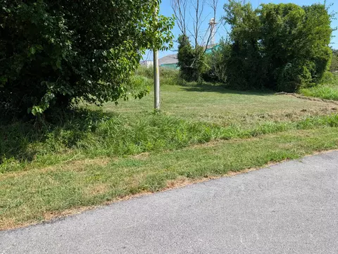 000 S Chustnut St, Buffalo, MO 65622 photo 3