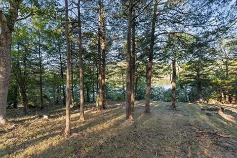 Exterior - 29209 Station Ln, Eagle Rock, MO 65641 photo 2 of 7