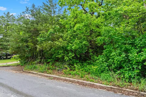 751 Aaron Way, Branson, MO 65616 photo 4